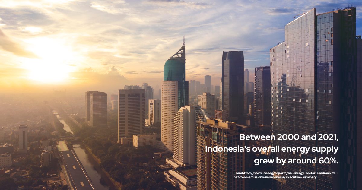 Between 2000 and 2021, Indonesia's overall energy supply grew by around 60%. Coal became the primary source of energy as the demand increased.