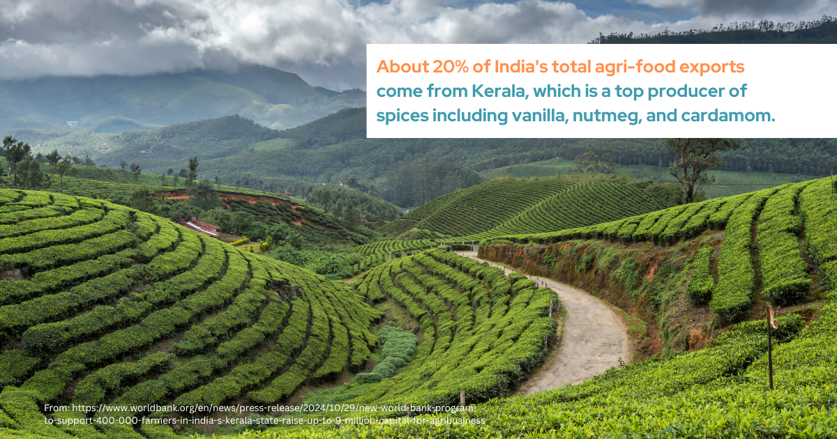 About 20% of India's total agrifood exports come from Kerala, which is a top supplier of spices like vanilla, nutmeg, and cardamom.