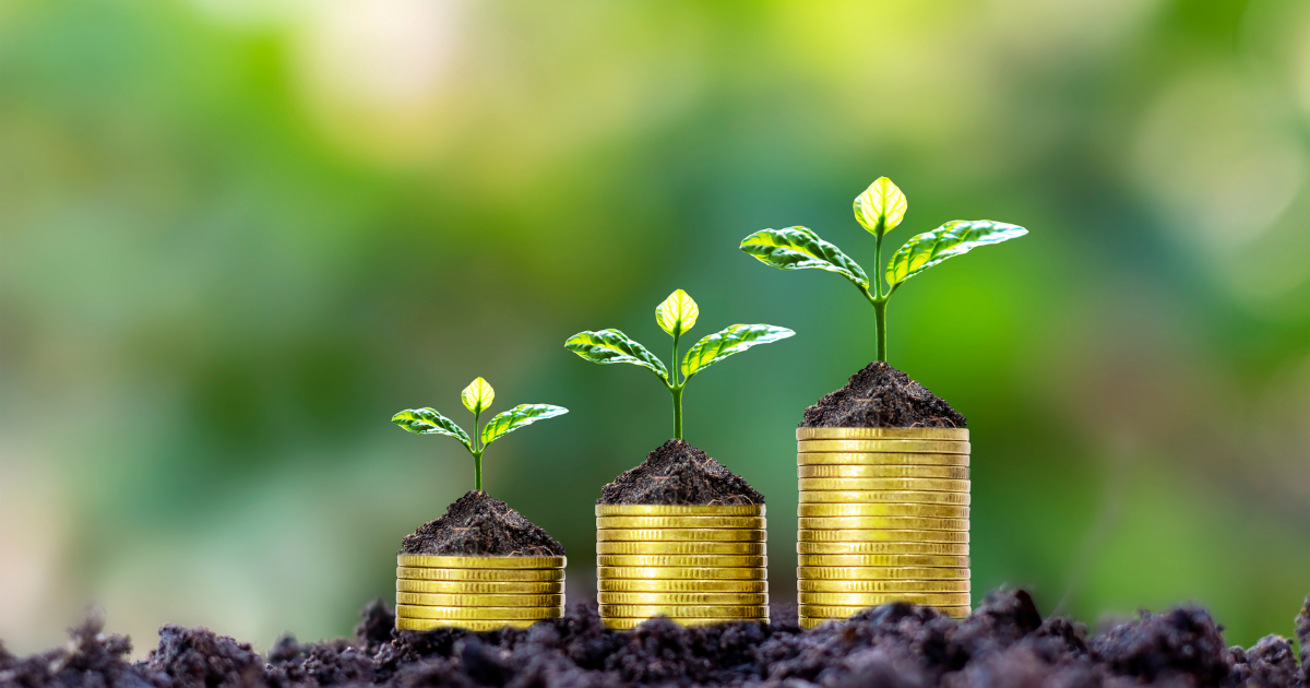 Beyond just protecting the company's bottom line, avoiding greenwashing in procurement upholds the brand's integrity and reputation, advances global climate goals, and lays the groundwork for ethical, responsible sourcing in the long term.