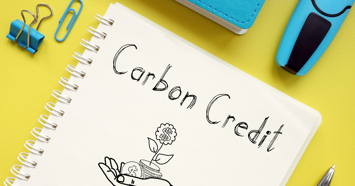 Vietnam's carbon market policy can bring significant opportunities for a range of market players, including companies, financial institutions, project developers, and sectors.