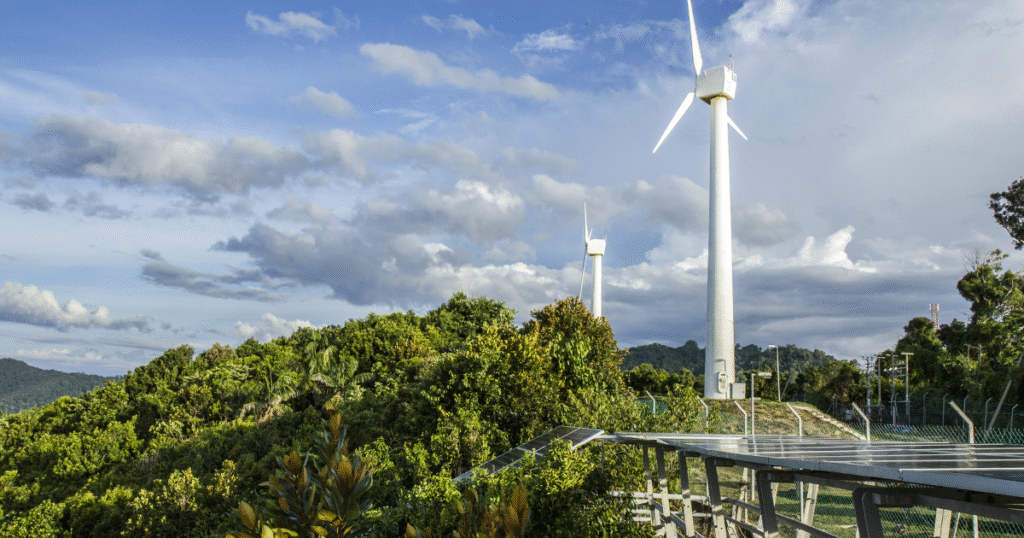 The Asia-Pacific Economic Cooperation (APEC) also believes in Asia-Pacific's energy transition to a cleaner source, not just to secure energy and avoid technological disruption, but also to help mitigate the impacts of climate change.