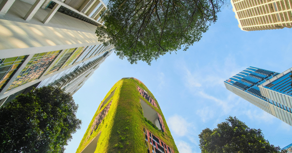 By adhering to global sustainable procurement regulations, leaders may lower climate risks, improve supply chains, and meet stakeholder expectations.